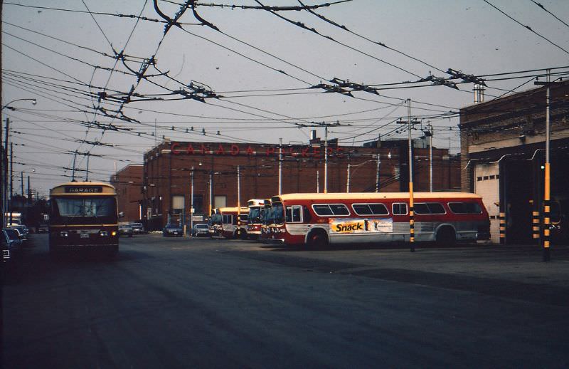 50+ Fascinating Color Photos Show Transportation Of Toronto In The 1980s