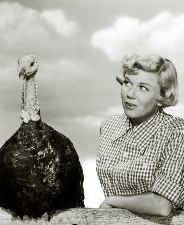 Gloria DeHaven, 1950s