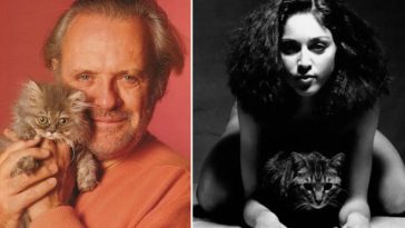 celebrities with cats