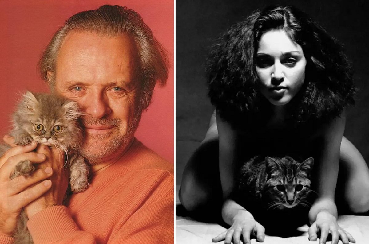celebrities with cats