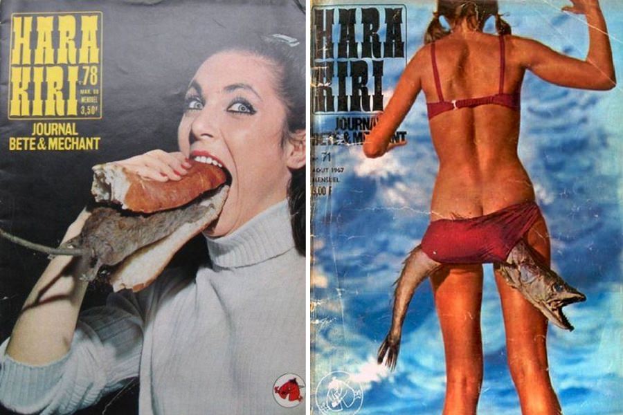 Hara Kiri insane magazine
