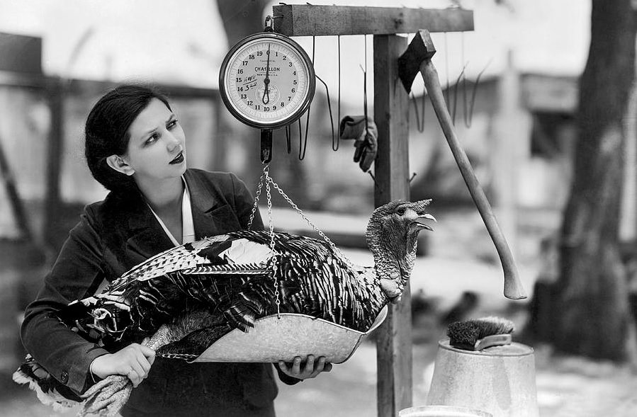 50+ Classic Celebrities Greeting Thanksgiving With Turkeys