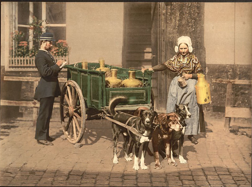 Flemish milk women, Antwerp, Belgium