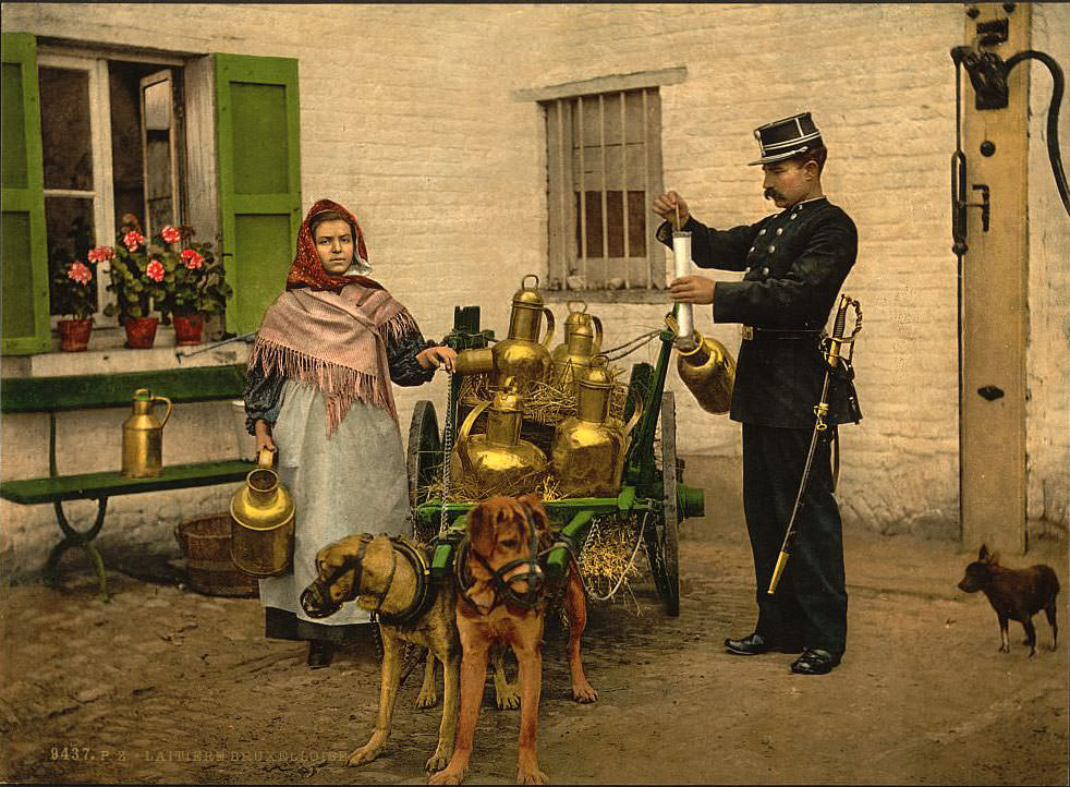 Milksellers, Brussels, Belgium