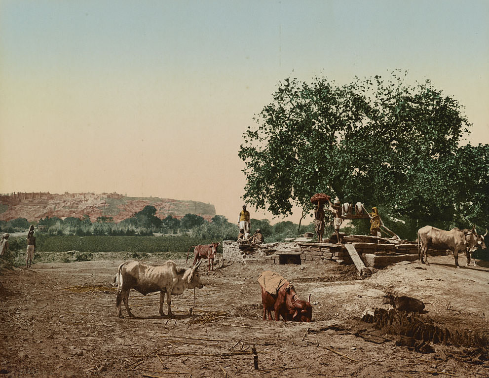 Ooa with the Fort, Gwalior