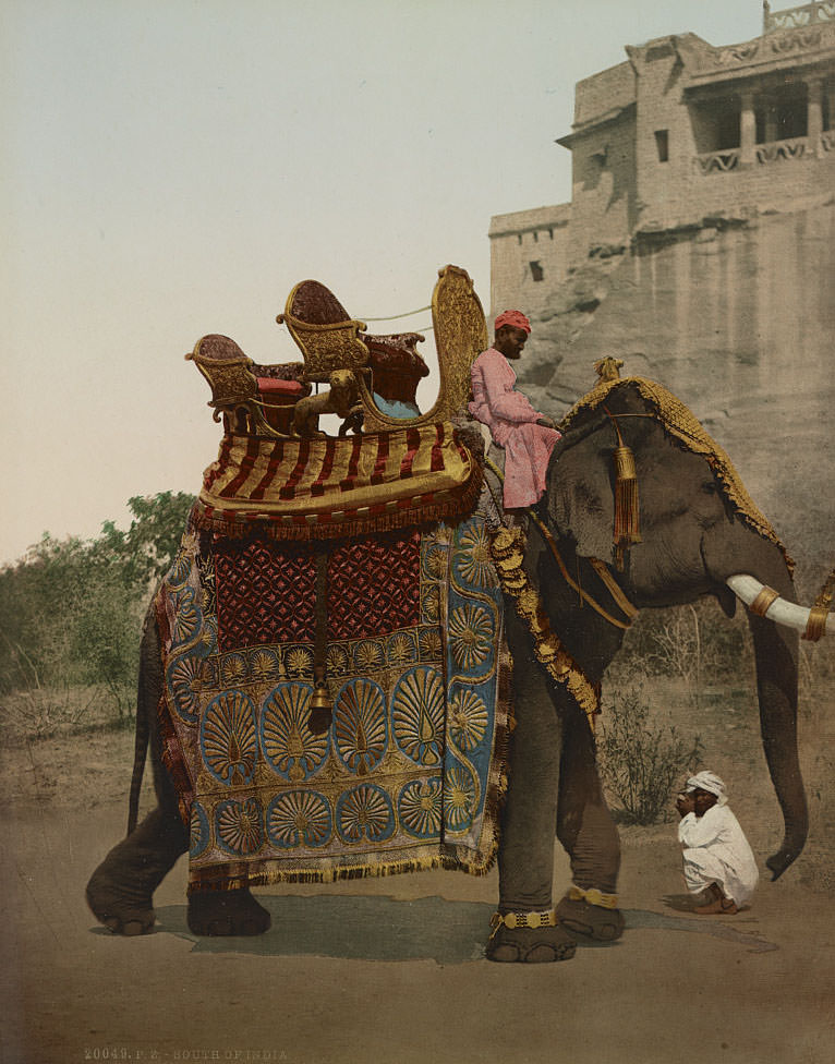 Government Elephant in State Costume, South of India