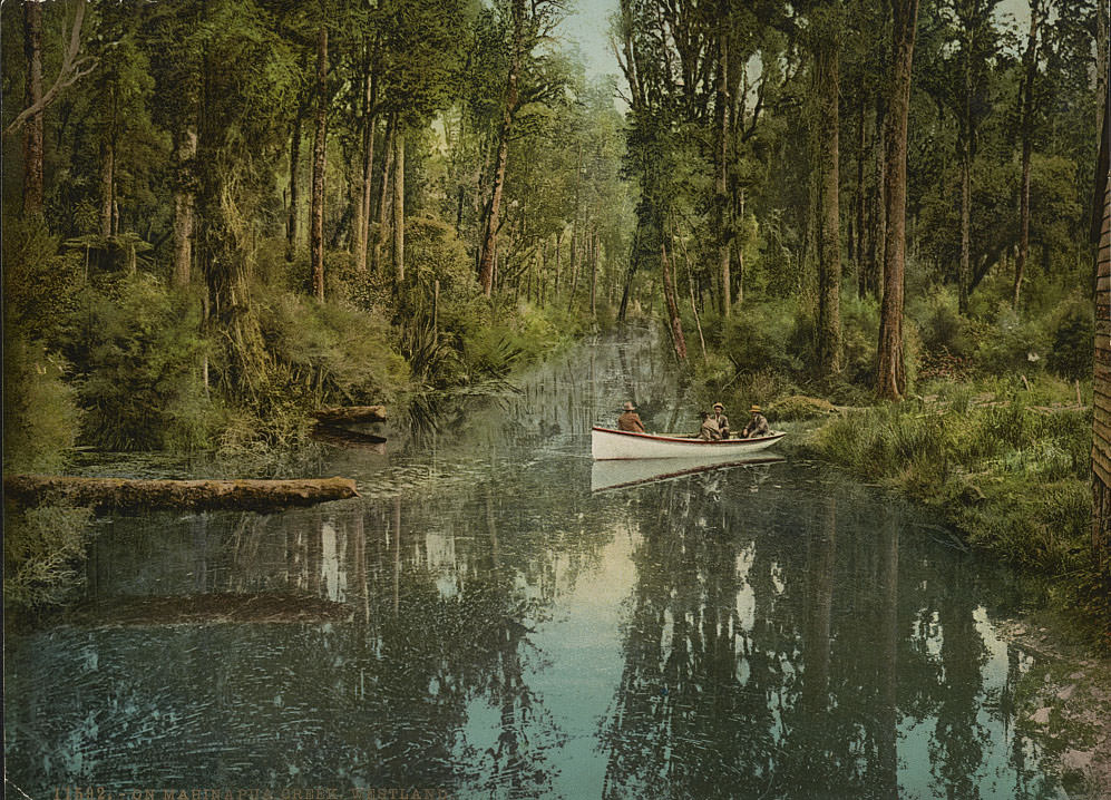 Mahinapua Creek-Tuwharewhare