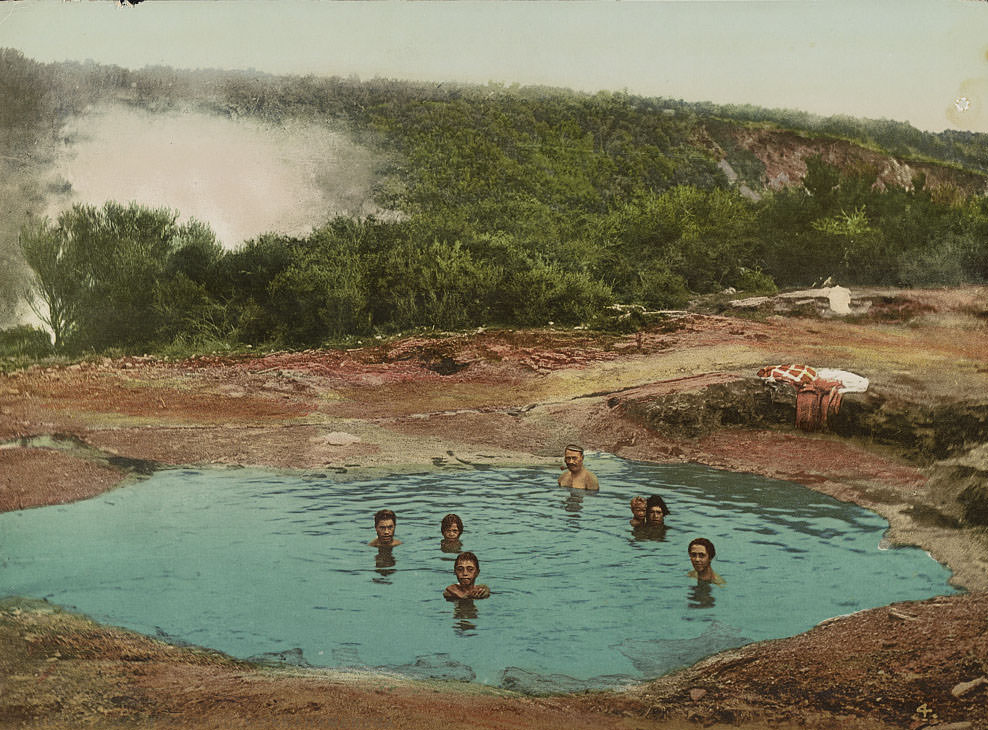 Morning Bath, Whakarewarewa