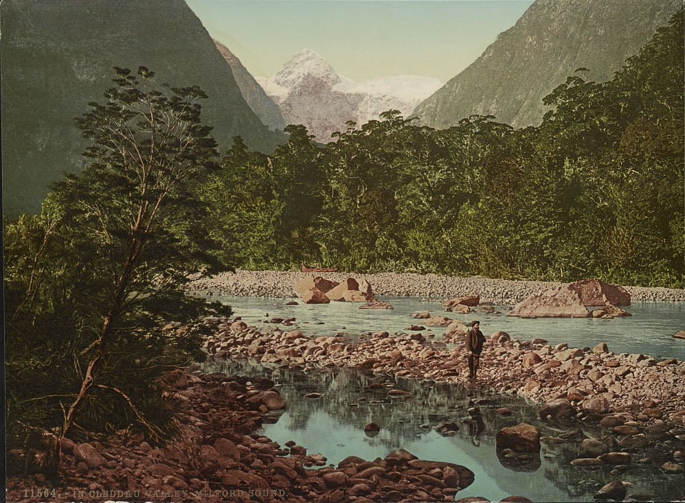 In Cleddau Valley, Milford Sound