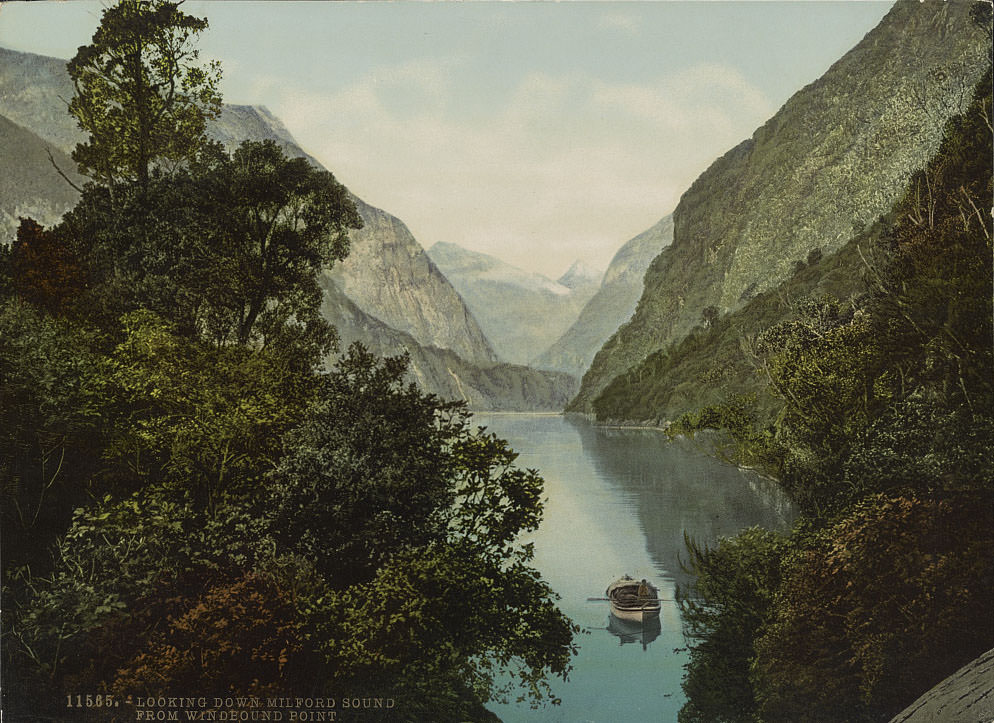 Looking Down Milford Sound from Windbound Point