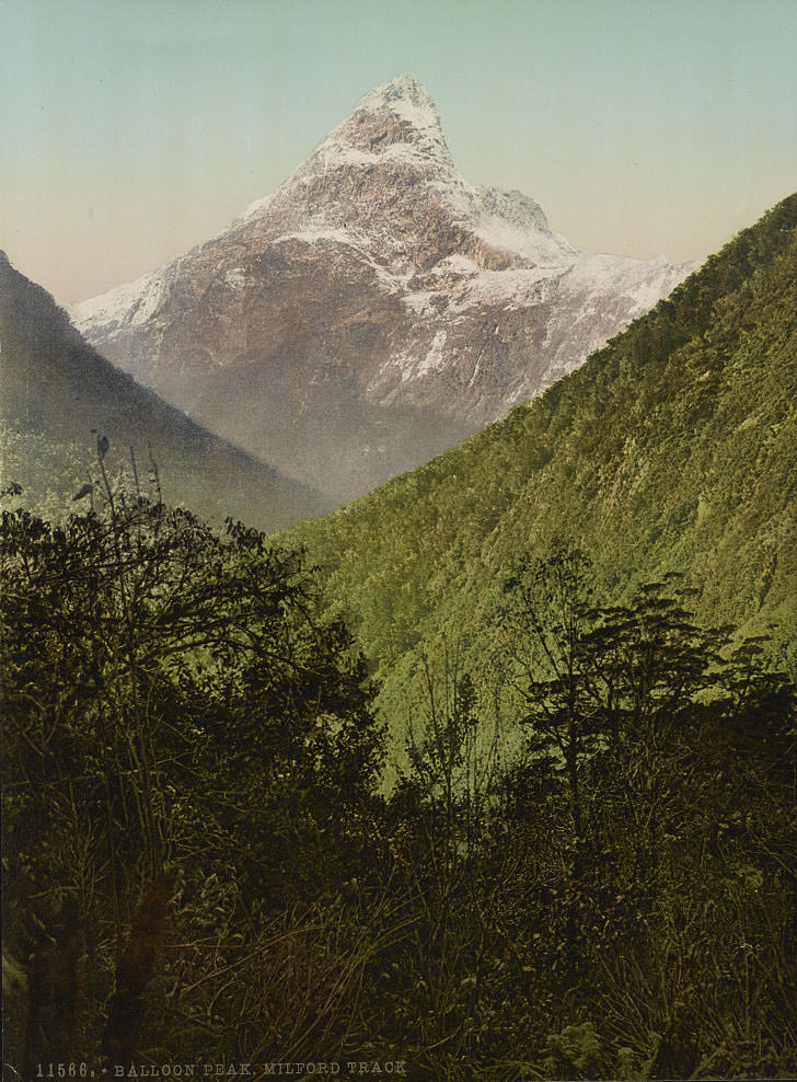 Balloon Peak, Milford Track