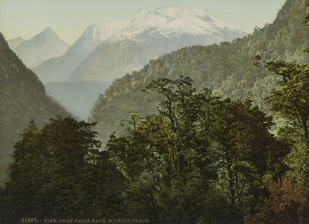 View near Falls Hats, Milford Track