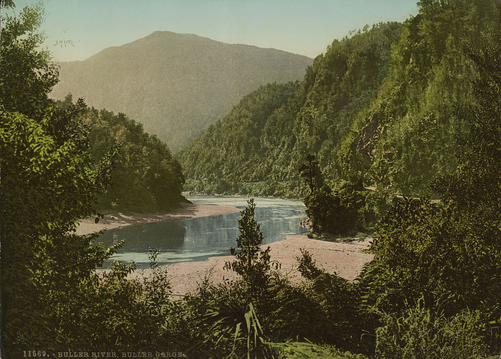 Buller River, Buller Gorge