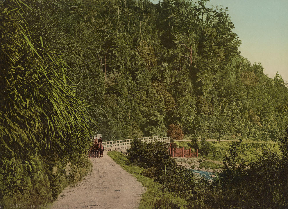 In Otira Gorge