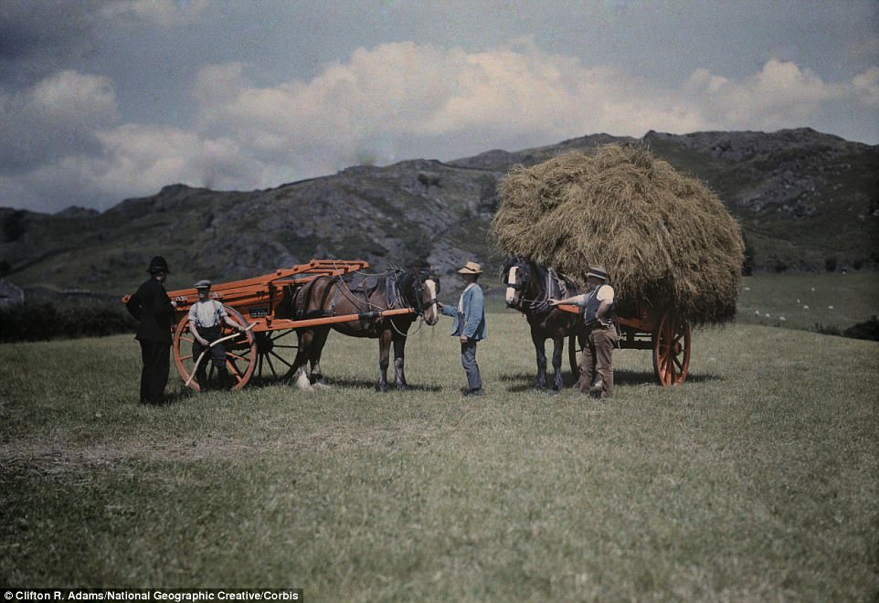 A police constable passes the day with farmers gathering hay in Lancashire in November 1928