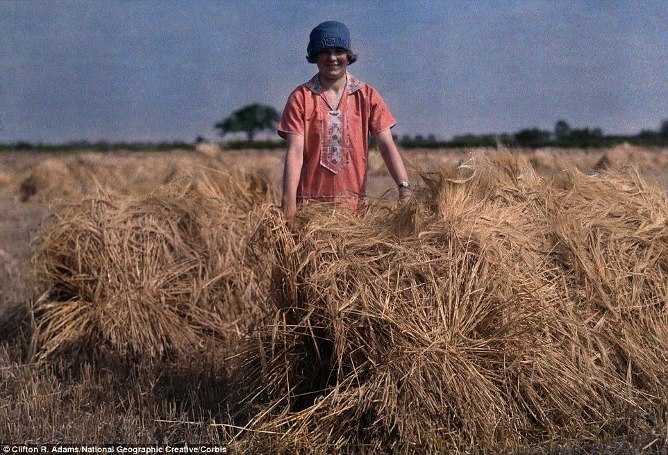 A girl stands in an unidentified field in Lincolnshire in 1929 holding barley