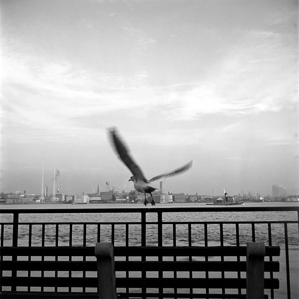 1950s New York: 50+ Spectacular Photographs Capture New City In Motion By Vivian Maier