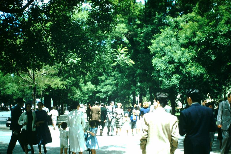 Strollers in Walk Paseo Recoletos, Madrid