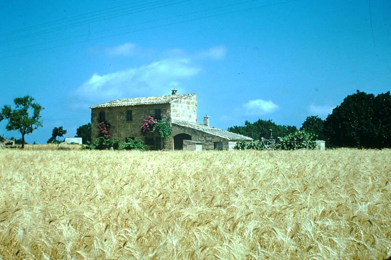Typical farmhouse near Pollensa, Majorca