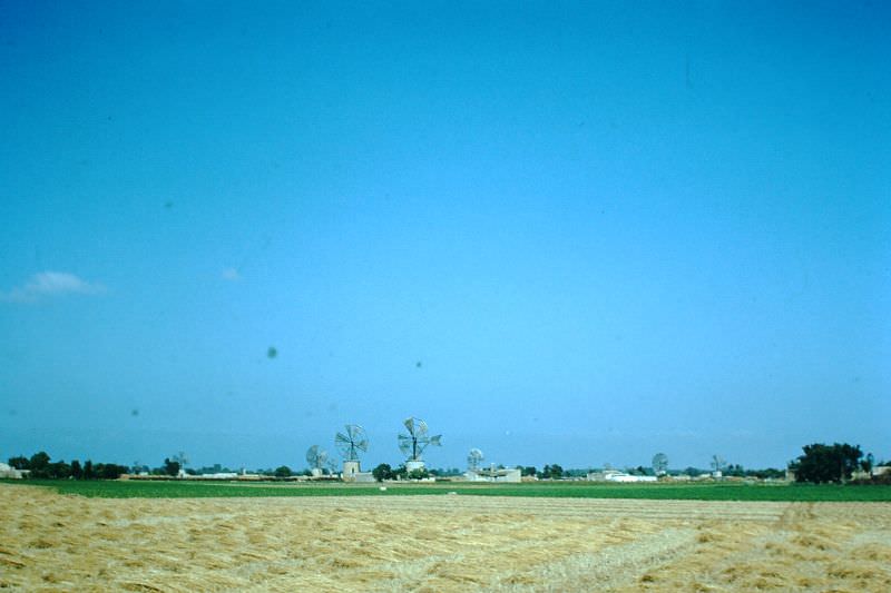 Windmills near Puebla, Majorca