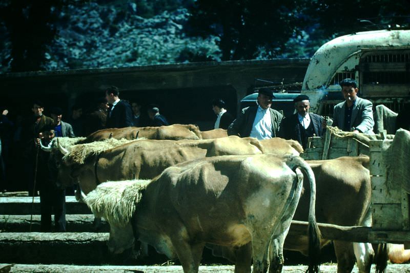 Market Day, Lecumberri, Basque Country