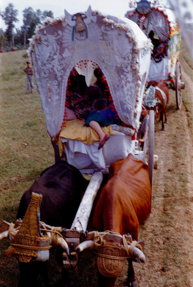 Romeria del Rocio, Seville, 1955