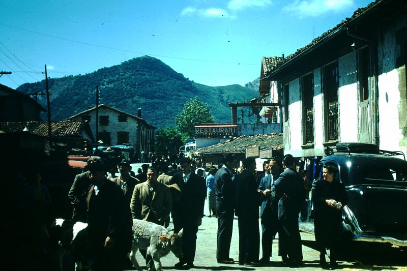 Market Day, Lecumberri, Basque Country