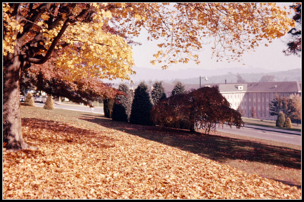 Fall in Victoria, 1961