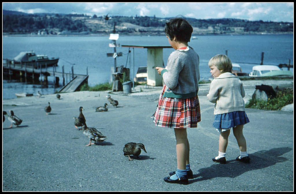 Kids and ducks at dock in BC, 1960