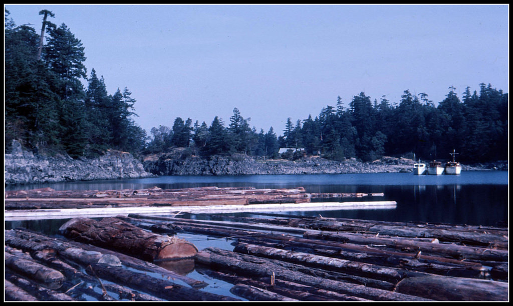 Log boom in Centre Bay, BC, 1966