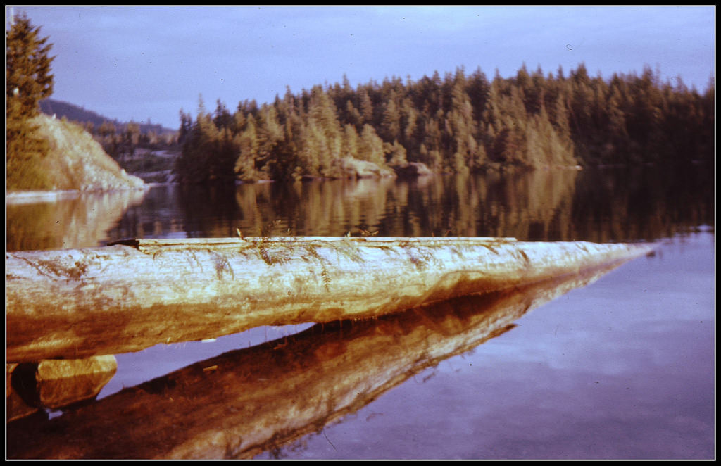 Log in Halfmoon Bay, BC, 1960
