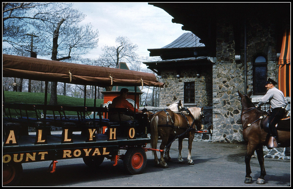 Mount Royal, Montreal, 1960