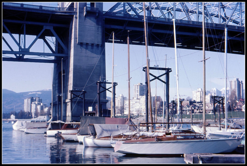 Sequoia in Burrard Civic, Vancouver, 1968