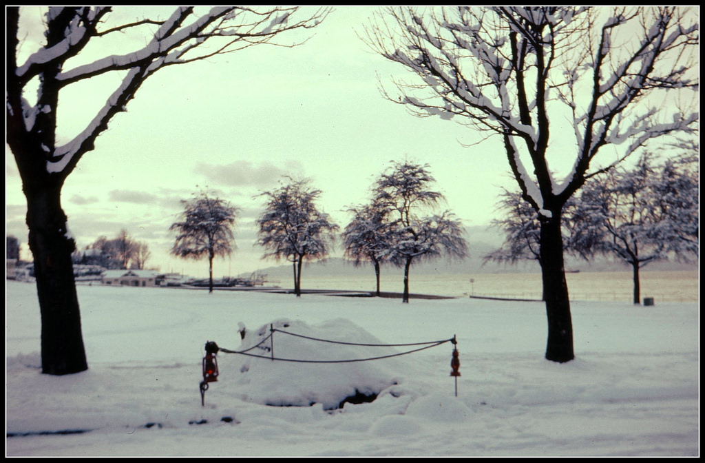 Snow at Kitsilano Beach, 1960