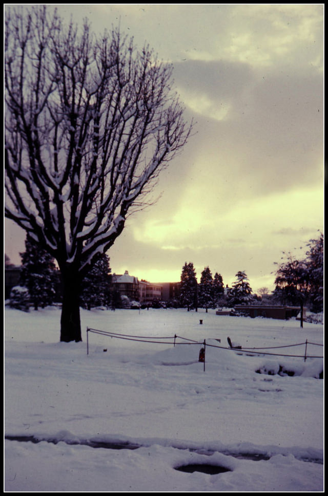 Winter sunset on Cornwall Avenue, Vancouver, 1962