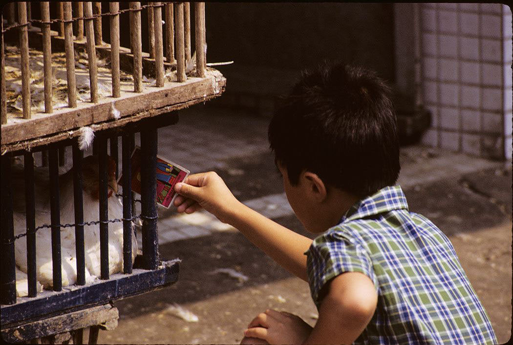 50+ Amazing Photos Show What Canada Looked Like In The 1960s