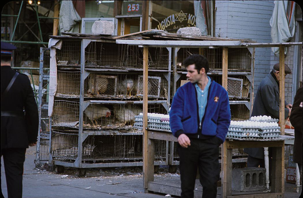 50+ Amazing Photos Show What Canada Looked Like In The 1960s