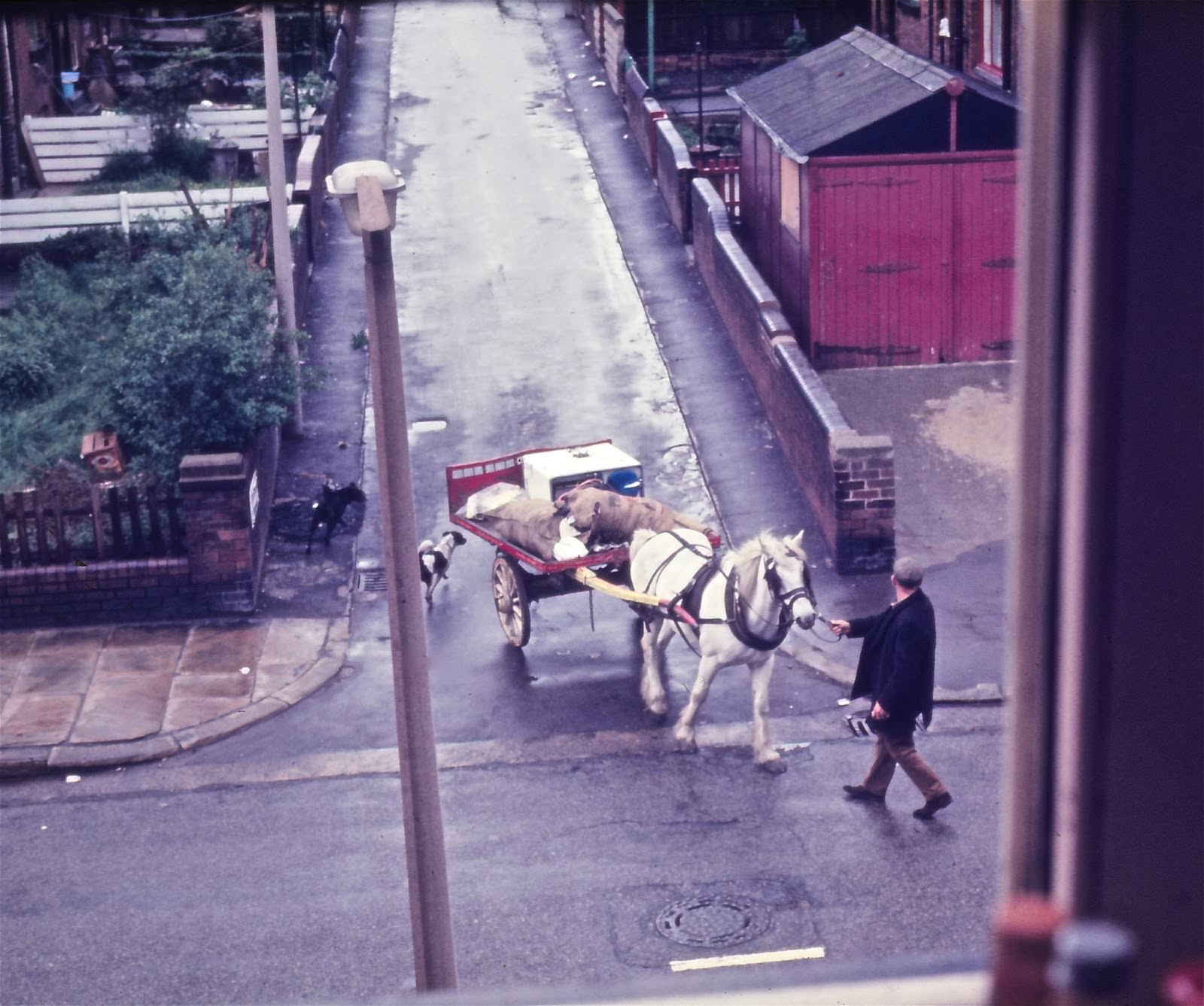 Horse and cart on Brudenell Road
