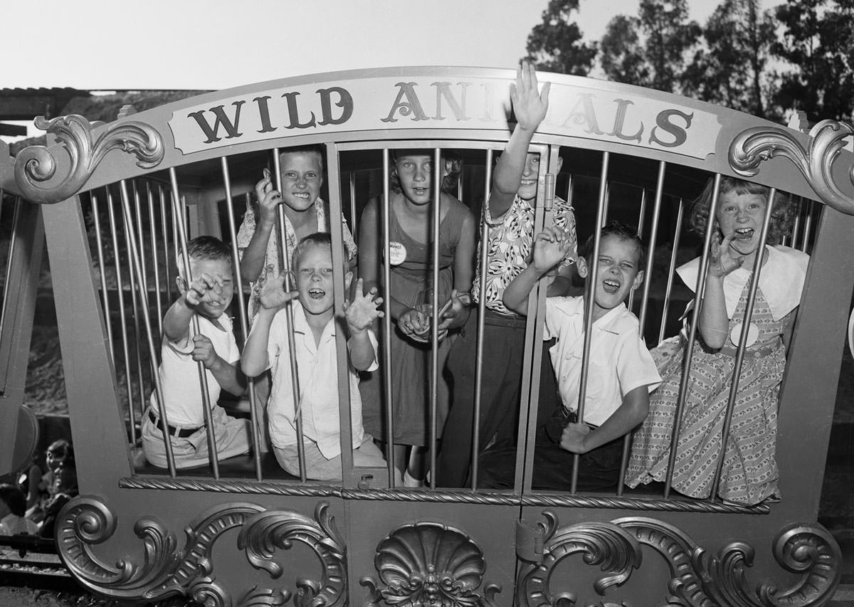A pack of "wild animals," caged for safekeeping at Disneyland in July 1955