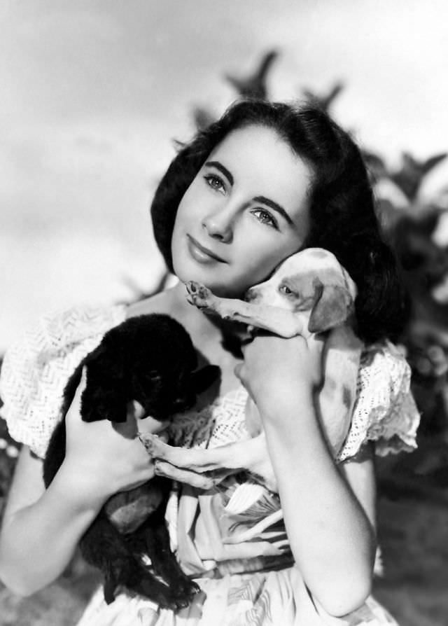 12 Years Old Elizabeth Taylor In The Filming Of National Velvet In 1944