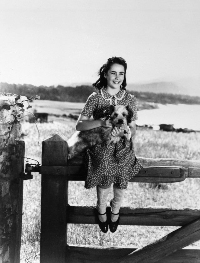 12 Years Old Elizabeth Taylor In The Filming Of National Velvet In 1944