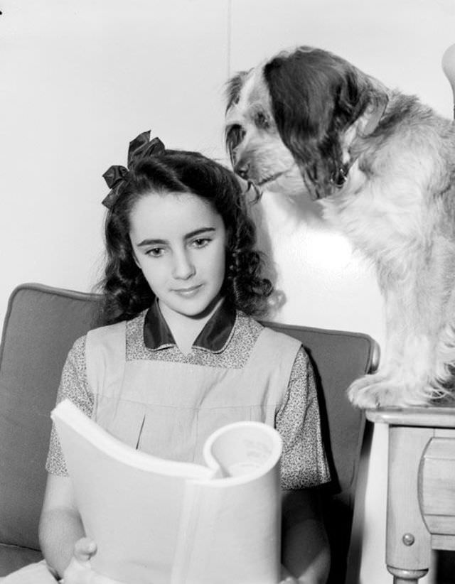 12 Years Old Elizabeth Taylor In The Filming Of National Velvet In 1944