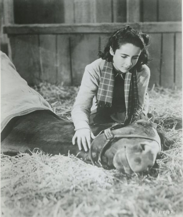 12 Years Old Elizabeth Taylor In The Filming Of National Velvet In 1944