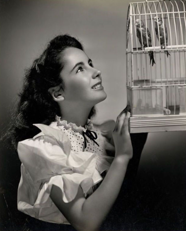 12 Years Old Elizabeth Taylor In The Filming Of National Velvet In 1944