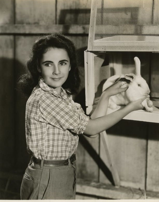 12 Years Old Elizabeth Taylor In The Filming Of National Velvet In 1944