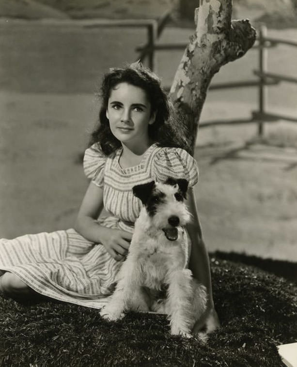 12 Years Old Elizabeth Taylor In The Filming Of National Velvet In 1944