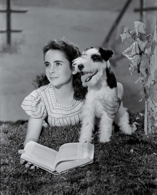 12 Years Old Elizabeth Taylor In The Filming Of National Velvet In 1944