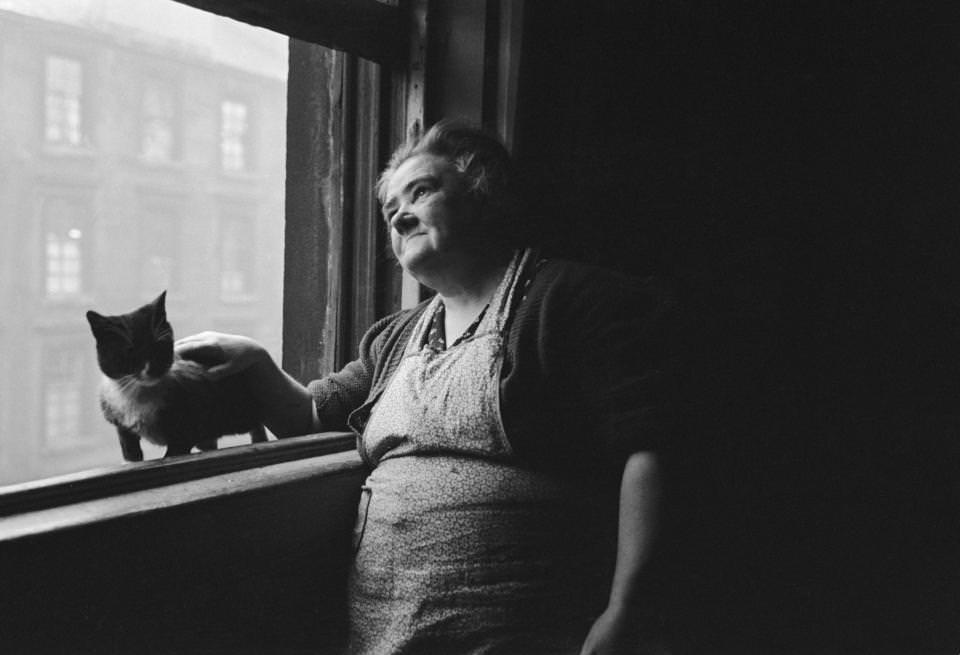 A Glaswegian woman peers out of the window as she pets her cat