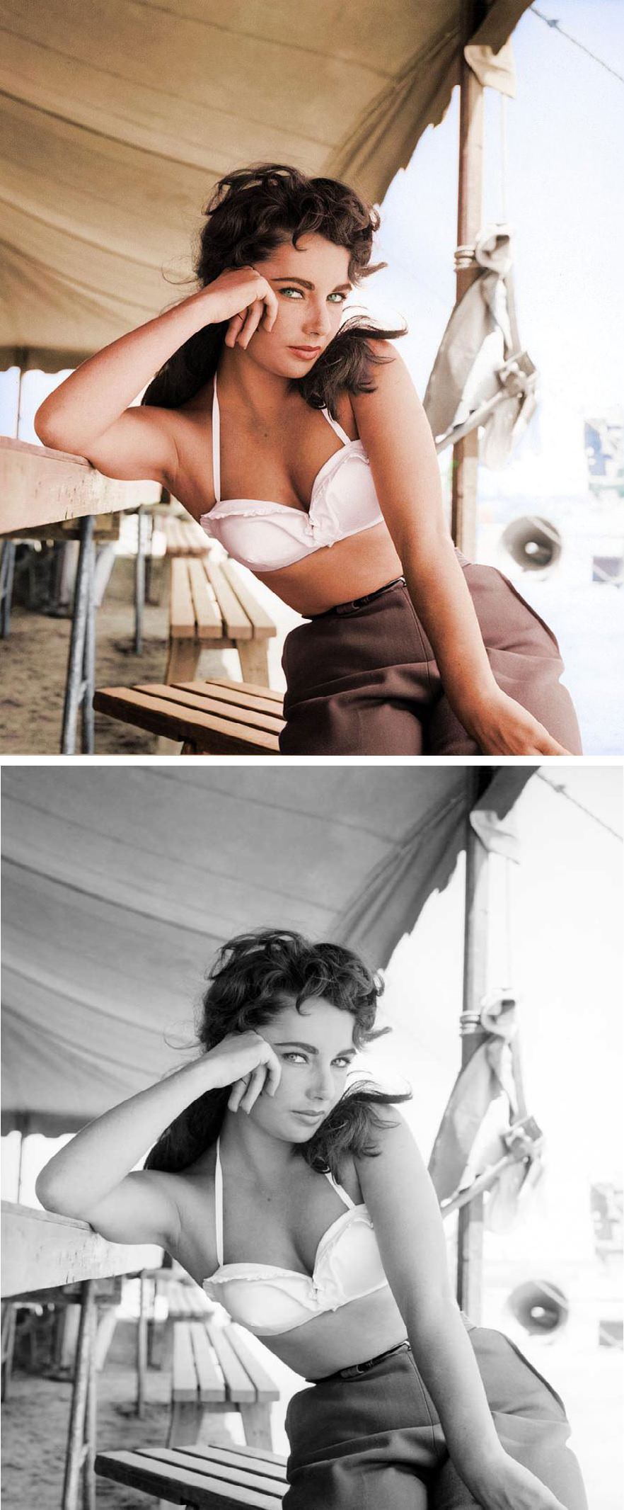 Elizabeth Taylor – Giant (1956 film)