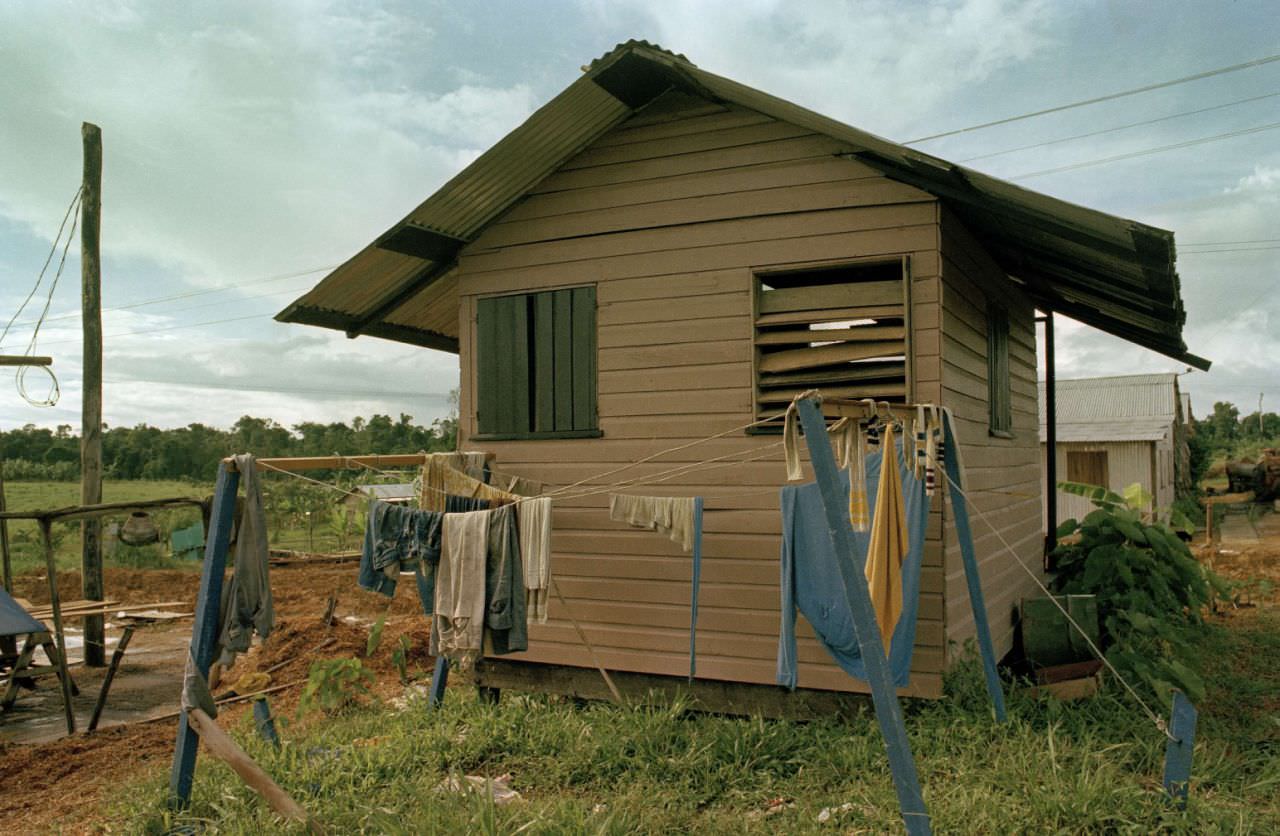 The scene at People’s Temple, Jonestown, Guyana after mass suicide by cult led by Jim Jones on Nov. 18, 1978.